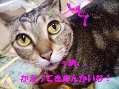т.JPG