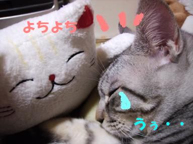 悿悿.JPG